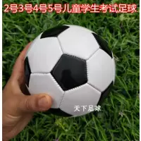 儿童足球 2号3号4号5号足球 迷你小足球训练幼儿园宝宝足球拍皮球