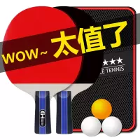 乒乓球拍2只装三星单双拍成品兵兵拍直拍横拍儿童套装学生