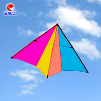 新款网红1.6小彩燕1.1小轻体风筝微风王31专业大人儿童风筝