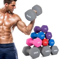 哑铃男士家用健身器材2/4/6/8kg10公斤一对5男女通用减肥锻炼手臂