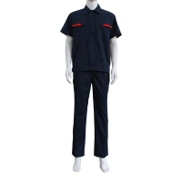 天鸣 防静电夏装 160-190码 套