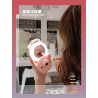 随身便携led灯化妆镜伴手礼小猪美妆镜迷你镜子女别走心的礼物