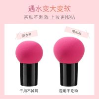 2个装|圆头小蘑菇头粉扑海绵美妆蛋葫芦气垫bb不吃粉彩妆干湿两用