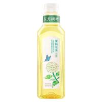 东方树叶茉莉花茶900ml