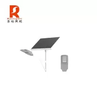 RS荣的LED路灯 太阳能(含灯杆)10米灯杆/个