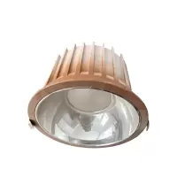 RS 荣的筒灯 70W 个