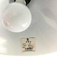 RS 荣的吊灯 直径35cm 个
