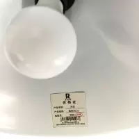 RS 荣的吊灯 直径35cm 个