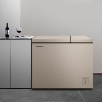 容声(Ronshen)210升大容量冰柜家用商用冷藏冷冻双温冷柜 一级能效 独立双温 卧式厨房冰箱BCD-210MSA