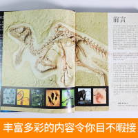 正版DK儿童恐龙百科全书精装儿童版恐龙书籍3-6-12岁一二三四五六年级恐龙知识大百科中小学生恐龙书侏罗纪恐龙世界恐龙王