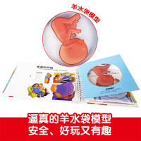 正版 我们的身体儿童3d立体书 正版精装3-4-5-6-7-10-12岁幼儿读物科学科普绘本 翻翻书洞洞书少儿幼儿童认知