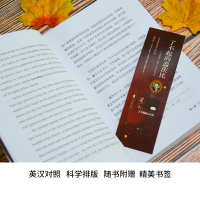 了不起的盖茨比 中英文对照双语版 正版无删减英文版原版原著翻译中文全译本英汉对照 世界名著文学小说英语阅读双语书籍