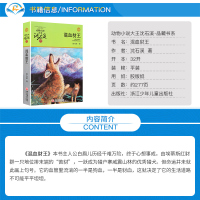 正版 混血豺王 动物小说大王沈石溪品藏书系中小学生课外阅读书不带拼音儿童文学书籍 浙江少年儿童出版社共293页DB