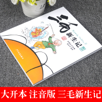 正版注音版三毛新生记全集小学生一二三年级课外书必读绘本老师推荐漫画书阅读指导目录人教版上册张乐平故事童书