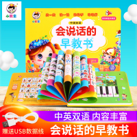 幼儿童中英文点读发声书有声挂图挂本读物启蒙早教益智玩具充电款 蓝天充电款[共22页640个有声读物]