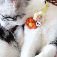宠物饰品猫咪花朵项圈宠物铃铛小型犬铃铛项圈可爱花朵幼猫项圈 橘白色 S码(适合2-5斤)幼猫