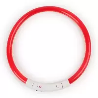 夜间遛狗神器 LED电子宠物项圈 可充电夜光狗狗项圈 USB发光项圈 红色 S号35cm（项圈可自行裁剪）