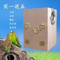 虎皮云斑牡丹玄小型鹦鹉繁殖箱立式繁殖箱竖式鹦鹉繁殖箱 15*15*22左挂(虎皮云斑) 送饮水器墨鱼骨