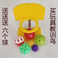 鹦鹉玩具鹦鹉训练篮球架高低可调节适合多种鹦鹉使用[7月8日发完] 鹦鹉篮球架