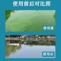 蓝藻净蓝藻分解素蓝藻分解精颤藻克星水产养殖螃蟹养殖河道蓝藻