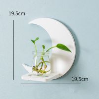 水培植物玻璃花瓶壁挂件花盆创意墙上墙面小清新绿植绿萝装饰花架 月亮架子+玻璃瓶
