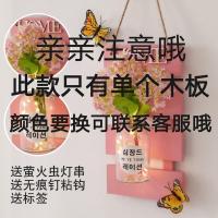 墙上墙壁装饰挂件挂饰ins创意植物花餐厅房间布置客厅卧室装饰品 HOME粉板（不含任何东西颜色可换）