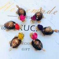 [五个装]海螺贝壳饰品工艺品旅游纪念品带眼镜仿真小乌龟地摊 五个装小乌龟