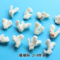 天然白珊瑚断枝杈鱼缸贝壳海螺水族箱造景家居地中海ins风装饰地 2个珊瑚枝 2-4厘米