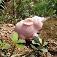 露台摆件花园庭院装饰小狗太阳能灯户外灯园林景观别墅仿真艺术品 可爱小猪