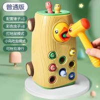 宝宝益智早教多功能男女孩钓鱼啄木鸟玩具吃捉虫儿童智力动脑一岁 普通版[配8虫+锤子]