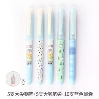 学生钢笔套装墨水墨囊两用儿童书写练字清新卡通5/10支男女礼盒装 5支大尖钢笔+5支大笔尖+10支墨囊 男生款