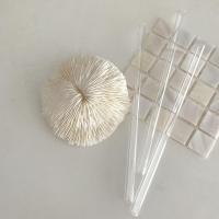 玻璃杯搭配吸管高温玻璃吸管ins透明水杯吸管家用冷饮吸管耐热