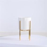 欧式小奢华家用不锈钢水果叉套装创意陶瓷收纳筒蛋糕小吃叉子 四脚金架+白罐