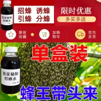 诱蜂膏[3秒来蜂]招蜂水诱蜂神器收中蜂意蜂捕野蜜蜂蜂王信息素 诱蜂单盒装 蜂王带头来 可试用