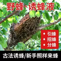 蜜蜂诱蜂水招蜂水信息素收蜂野外诱蜂液引蜂养蜂诱蜂蜂王招蜂工具 白瓶招蜂水 送蜂蜡 王笼