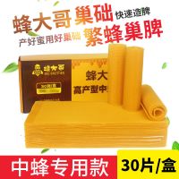 蜂大哥蜜蜂巢础标准中蜂意蜂巢脾蜂巢养蜂工具加厚深房土蜂巢础片 高产型巢础(30片装)[中蜂] 1盒装