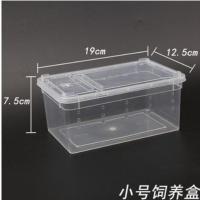 爬虫爬宠饲养盒躲避造景洞穴椰子壳蜈蚣蝎子蜘蛛螳螂蜈蚣豹纹守宫 小号饲养盒（送镊子滴管）