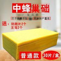 中蜂巢础蜜蜂巢础养蜂专用工具全套巢基巢脾蜡片意蜂蜂箱蜂蜡蜂巢 【普通款】中蜂巢础30片/盒