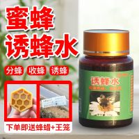 招蜂水引蜂诱蜂水收蜂养蜂捕蜂老巢脾诱蜂水收捕野蜜蜂蜂王信息素 涂抹招蜂水120ml[不含巢脾] 蜂蜡+王笼+涂抹刷
