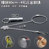 虎皮鹦鹉脚链鸟链子超轻 不锈钢鸟链活扣 玄凤脚链脚环不伤脚站架 4号脚环(虎皮/文鸟) 单独脚环(无脚链)