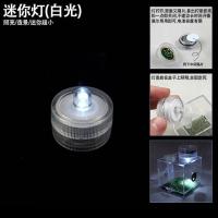 跳蛛饲养盒鸣虫箱螳螂盒大黄蜂活体佛罗里达蝈蝈笼蛐蛐跳蛛昆虫罐 迷你灯