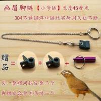 鸟用皮套脚链脚环放飞绳遛鸟绳站架扣鸟链八哥鹩哥画眉喜鹊训鸟绳 5号皮套+小号链[画眉]