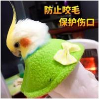 鹦鹉鸟伊丽莎白保暖衣服防咬毛啄毛受伤保护项圈脖套斗篷用品用 鹦鹉伊丽莎白圈s号粉色