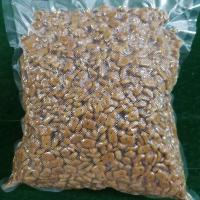 2包57.5 凯锐思成猫粮DHA羊初乳 成猫专用鱼肉海洋鱼深海鱼天然粮 1斤（试用装）