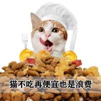 猫粮通用型5斤10斤成猫幼猫海洋鱼味增肥全阶段猫咪猫粮特价批发 5斤 三拼猫粮