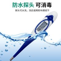 兽用电子体温计宠物猫狗测温仪猪牛羊肛门体温表软头温度计动物用 软头电子体温计