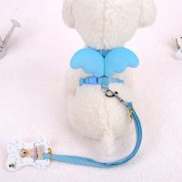 狗狗牵引绳泰迪猫咪兔子可爱胸背带中小型犬狗链子宠物用品遛狗绳 可爱-天使的翅膀 蓝色 XS-适合1-3斤 宠物