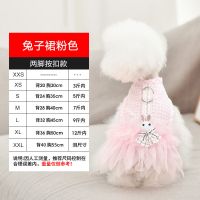 狗狗裙子牵引绳套装泰迪比熊胸背带小型犬公主宠物猫咪衣服遛狗绳 格子兔粉 XS