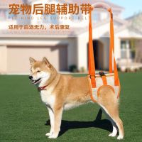 辅助助力器宠物后腿步行走路支架带高龄犬狗狗带残疾犬助力带 橙色 S