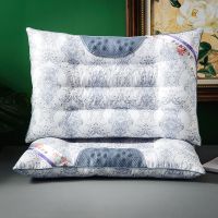 磁石决明子颈椎枕一对装一个学生保健枕护颈枕头套装枕套枕芯成人 枕芯[无枕套] 青花瓷磁疗枕[中号]